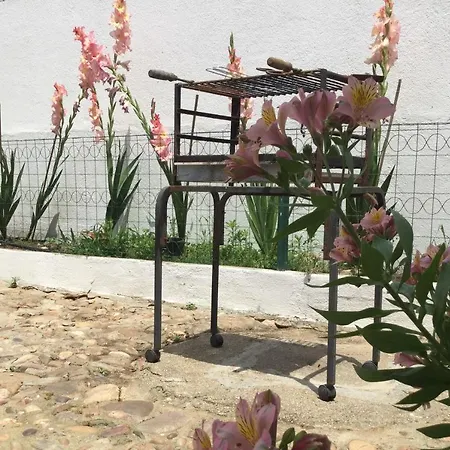 Amendoeirashouse-sustainableliving Bed & Breakfast *