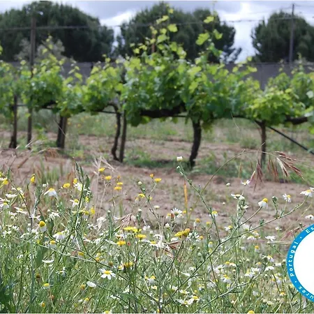 Amendoeirashouse-sustainableliving Bed & Breakfast
