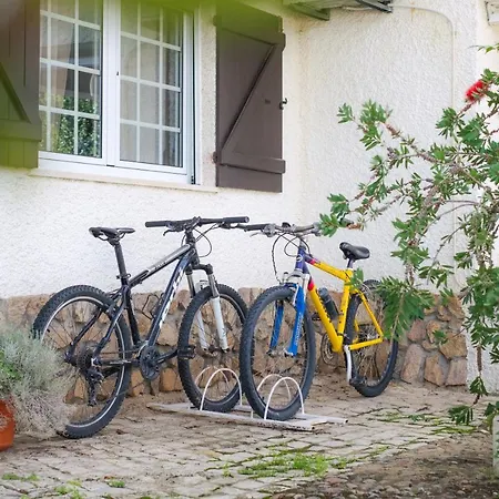 Amendoeirashouse-sustainableliving Panzió