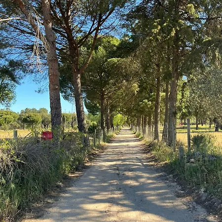 Amendoeirashouse-sustainableliving Bed & Breakfast 4*