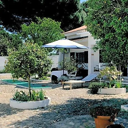 Amendoeirashouse-sustainableliving Panzió Rossio ao Sul do Tejo