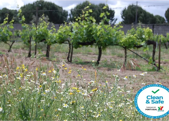 Amendoeirashouse-sustainableliving Alojamento de Acomodação e Pequeno-almoço