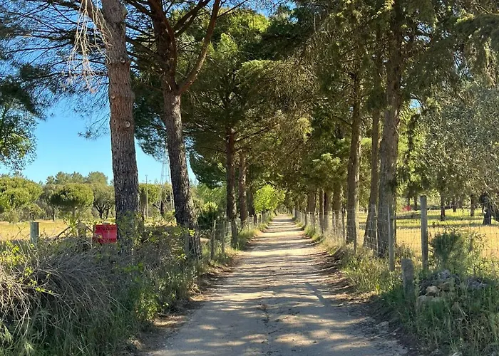 Amendoeirashouse-sustainableliving Alojamento de Acomodação e Pequeno-almoço 4*